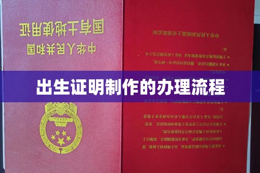 边坝出生证明制作的办理流程